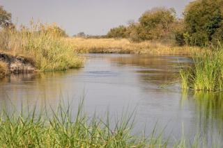 Jamy Traut Safaris - 2
