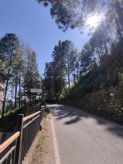 Pines Luxury Property - 6