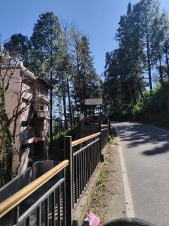 Pines Luxury Property - 3