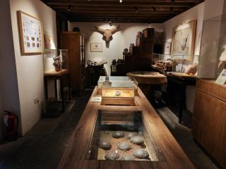 Floral Lux Hotel Shaoxing Hemu Fossil Private Museum - 4