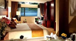 New Century Hotel Zaozhuang Fengming - 5