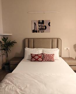 Pvt 2 BR cozy Homestay Ph 7 Mohali near Fortis - 5