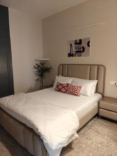 Pvt 2 BR cozy Homestay Ph 7 Mohali near Fortis - 3