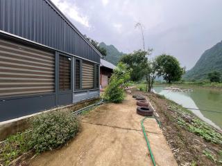 Công viên trà hoa vàng Ninh Bình - 7
