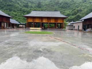 Công viên trà hoa vàng Ninh Bình - 8