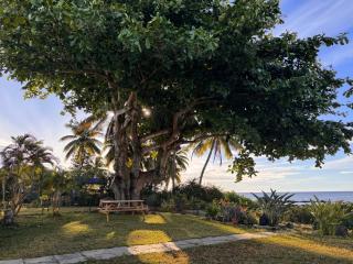 OceanFront - La Case D'antan - 9