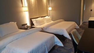 Jinjiang Metropolo Hotel Nanjing Confucius Temple Branch - 3