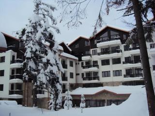 Panorama apartment in Borovets Gardens Hotel - 2