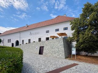 Burghotel Schlaining - 9
