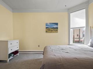 The Zinnia Victorian Charm with Mountain Views - Leadville - 8