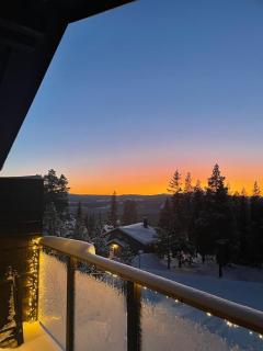 Black timber lodge - 2