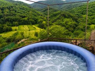Goshniver Rest House - 9