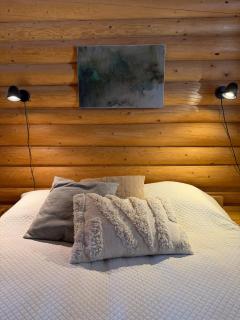 Logcabin, sauna, fireplace, view, kitchen - 8
