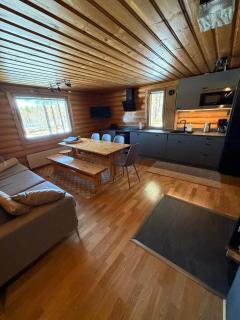 Logcabin, sauna, fireplace, view, kitchen - 7
