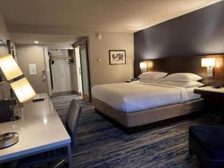 Skyline Hotel Detroit Airport, SureStay Collection by BW - Romulus - 4
