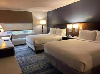 Skyline Hotel Detroit Airport, SureStay Collection by BW - Romulus - 3