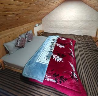 Kavu's hideout cottage jibhi - 4