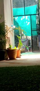 Viva Homestay - 0