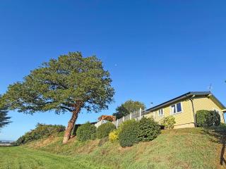 Wattles-E4527 - 1