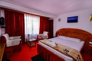 Hotel Dolphin Darjeeling - 3