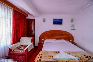 Hotel Dolphin Darjeeling - 1
