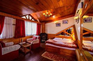 Hotel Dolphin Darjeeling - 4