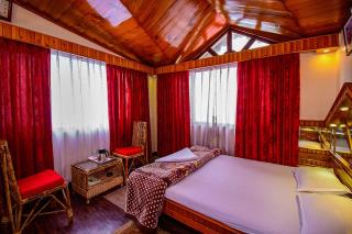 Hotel Dolphin Darjeeling - 5