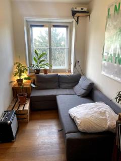 Bright, central 5-room apartment - 9