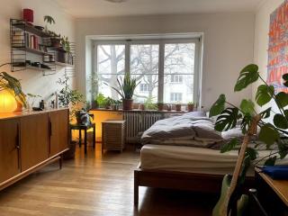 Bright, central 5-room apartment - 6