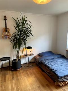 Bright, central 5-room apartment - 1