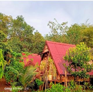 Tribal Village Homestay & Trekking - 9