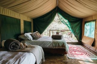 Inhlekabafazi Bush Camp - 6