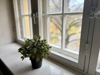 Kotimaailma Aparthotel Villa Hortus Turku - 2
