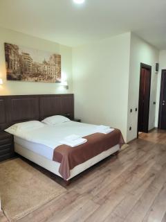 Hotel Piemonte - 4