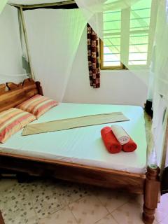 Jambiani family villa - 6