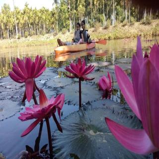 Haveli Holiday Homestay by StayApart - Mudigere - 4