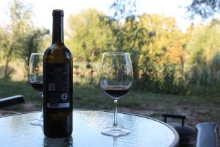 AngyalBárka Tóparti apartman - 3