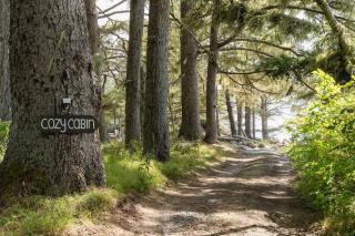 Cozy Beachfront Cabin at Woodside Farm - 9