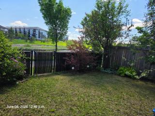 Cozy walkout retreat beside pond and trail - 3