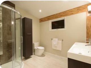 Luxury Chalet in the Woods - 4