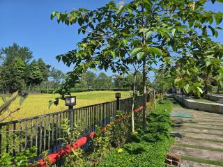 Flat at Batabari Middle of Lataguri-Chalsa - 9