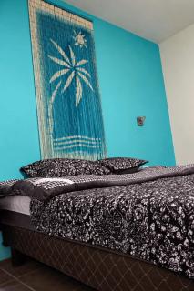 Secret Forest Hostal - 3