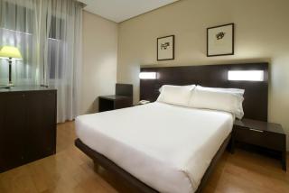 Hotel Sercotel Tudela Bardenas - 8