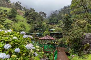 Trogon Lodge - 5