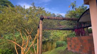 Finca el encanto de Amores - 1
