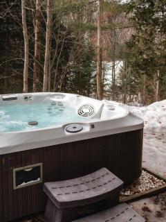 Bali-Zen - Chalet with Private Spa Lake-front Near Val Saint-Come - 6