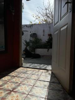 Mi casa para verdaderos HINCHAS - 5