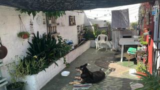Mi casa para verdaderos HINCHAS - 2
