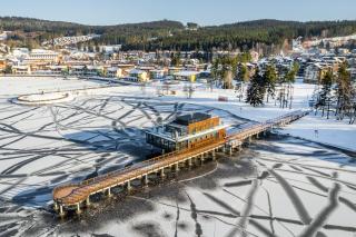 MOLI Apartmán s privátní saunou - MOLO Lipno Resort - 8