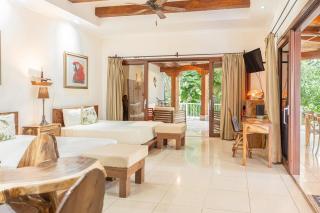 Tropical Beachfront Oasis - 0